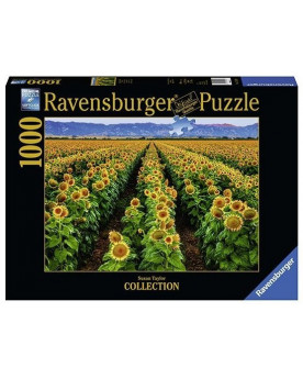 Puzzle 1000 Piezas - Campo...