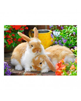 Puzzle 2x12 piezas - Pequeño Momento de Abrazo - Ravensburger