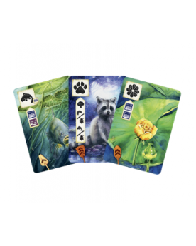 Expansión Pradera - Río Abajo