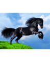 Puzzle 500 piezas - Black Horse - Clementoni [35071]