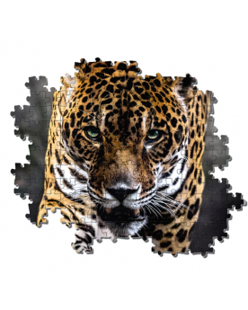 Puzzle 1000 piezas - Jaguar - Clementoni