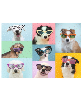 Puzzle 150 piezas XXL - Perros Con Gafas - Ravensburger