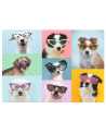 Puzzle 150 piezas XXL - Perros Con Gafas - Ravensburger