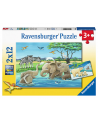 Puzzle 2x12 piezas - Cachorros del Mundo - Ravensburger