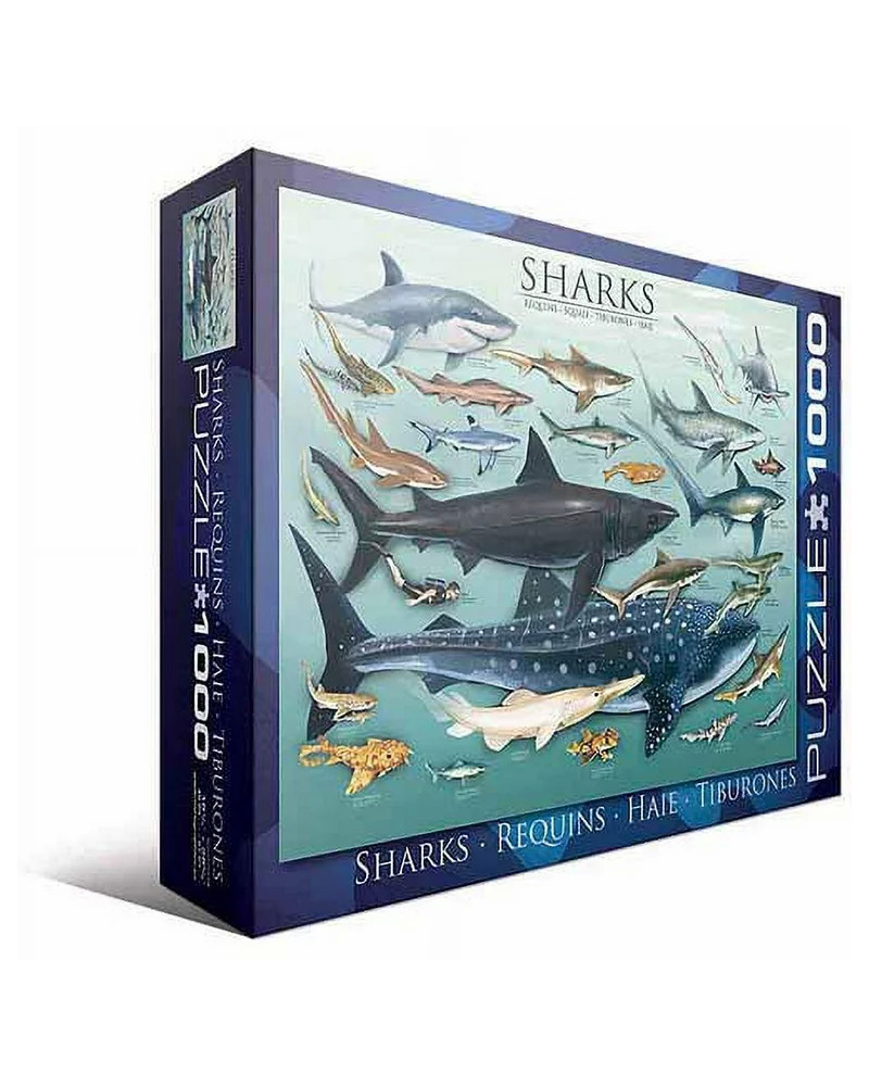 Puzzle 1000 piezas - Sharks - Eurographics