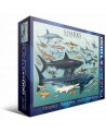 Puzzle 1000 piezas - Sharks - Eurographics