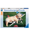 Puzzle 500 piezas - Golden Retriever - Ravensburger