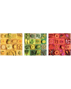 Puzzle 3 x 500 Piezas - Deco Frutas Y Flores - Educa