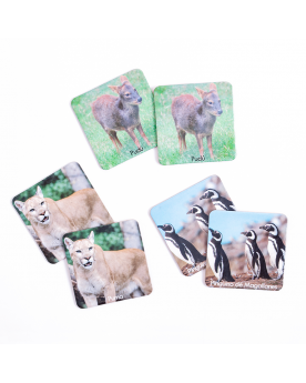 Memorice Plus - Fauna Chilena