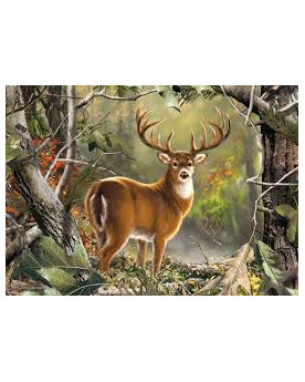 Puzzle 1000 Piezas - Backcountry Buck - Master Pieces