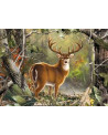 Puzzle 1000 Piezas - Backcountry Buck - Master Pieces