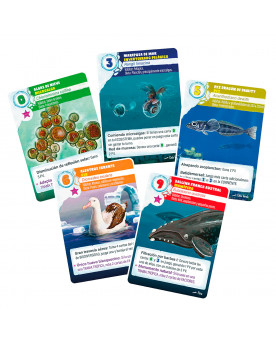 Mini Expansión - ILAN: Explorando la Vida Antártica (Expansión)