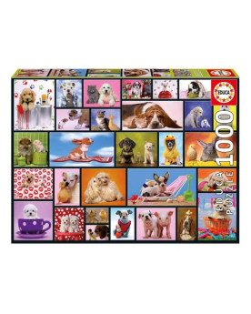 Puzzle 1000 Piezas -...