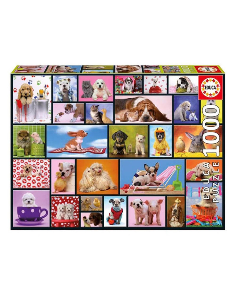 Puzzle 1000 Piezas - Momentos Compartidos - Educa