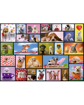 Puzzle 1000 Piezas - Momentos Compartidos - Educa