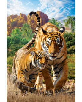 Puzzle 250 piezas - Tigers - Eurographics