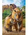 Puzzle 250 piezas - Tigers - Eurographics