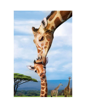 Puzzle 250 piezas - Giraffes - Eurographics