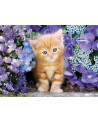 Puzzle 500 piezas - Ginger Cat - Clementoni [35585]