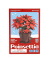 Puzzle 3D - Flor de Madera - Poinsettia - Rowood [TF001]
