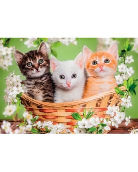 Puzzle 2x60 Piezas - Brothers in Fur - Clementoni [24820]