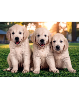 Puzzle 2x60 Piezas - Brothers in Fur - Clementoni [24820]