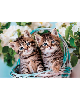 Puzzle 60 Piezas - Lovely Kitty Twins - Clementoni [26599]