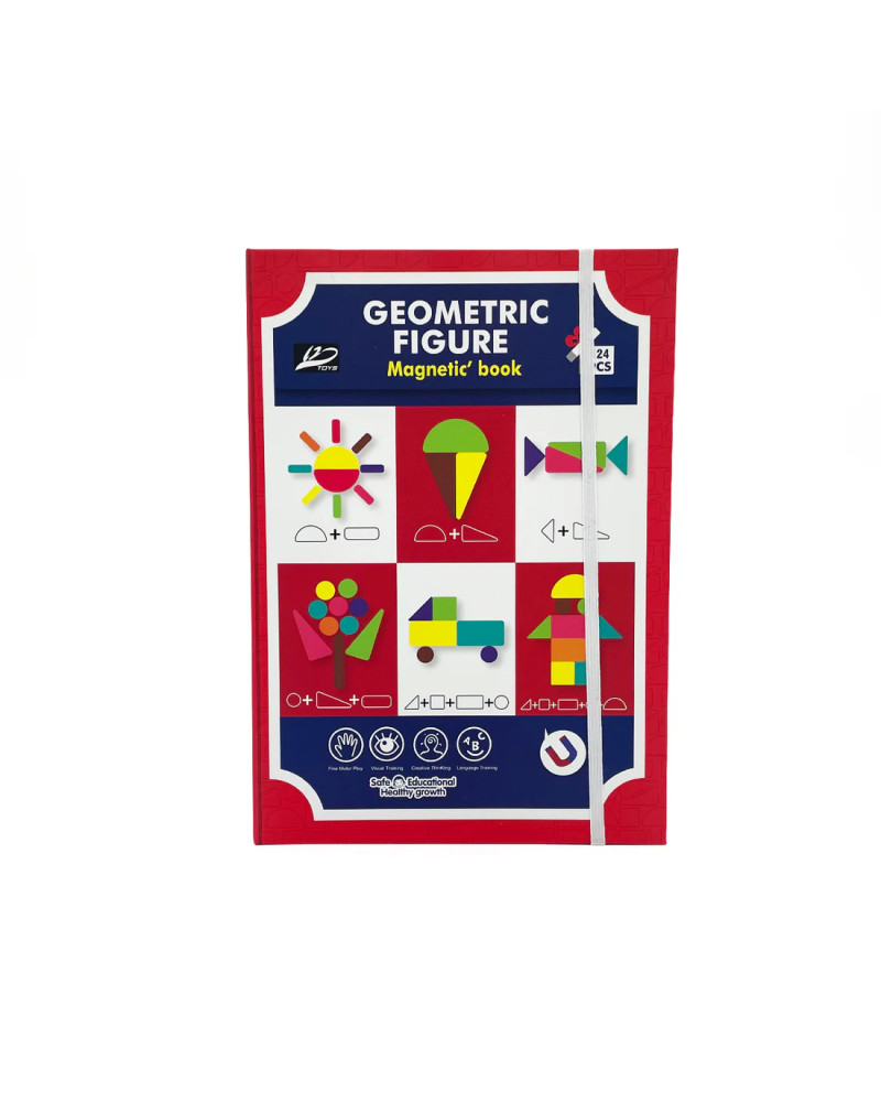 Geometric Magnetic Puzzles