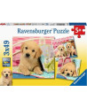 Puzzle 3x49 piezas - Cachorros - Ravensburger
