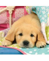 Puzzle 3x49 piezas - Cachorros - Ravensburger