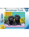 Puzzle 300 piezas XXL - Vida de Perritos - Ravensburger