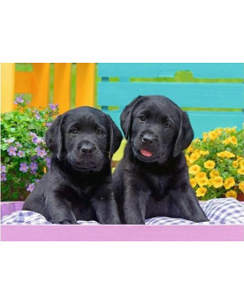 Puzzle 300 piezas XXL - Vida de Perritos - Ravensburger