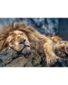 Puzzle 1000 piezas - Sleeping Lion - Trefl