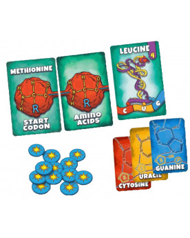 Peptide - El Juego de Construcción de Proteínas